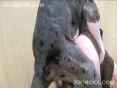 Huge dog wrecking the pussy of teen in dog xxx